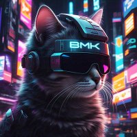 Binmaalik (@waziri_web3) 's Twitter Profile