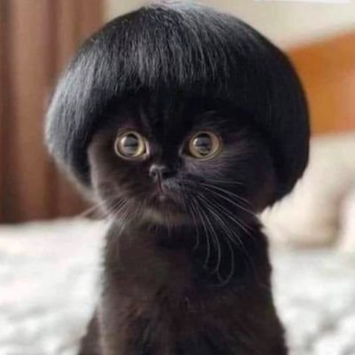 888shez's profile picture.