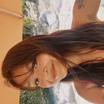 despistadaislas's profile picture. 