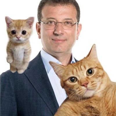 #İstanbulSözleşmesiYaşatır♀️
Beyinlerinizi geliştirmediğiniz sürece, kalpleriniz çöp.
DM❌
@necatiantepli❤️❤