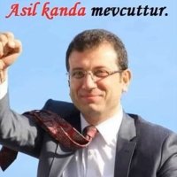 Nofretete (@sedefoglunefide) 's Twitter Profile