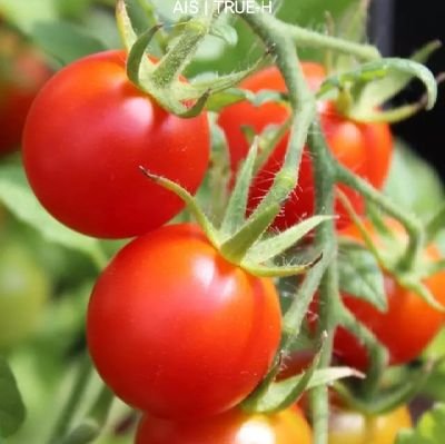 nxtt27254099's profile picture. ..ใว
🆔 : Feeling4
#รับงานโปรโมท 🗓️