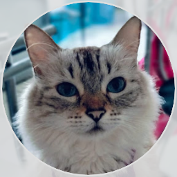 Tayler_Brando's profile picture. Nada de nada
Clave amigo de nintendo Switch: SW-5623-9454-6898
Steam, Origin, Blizzard, Tumblr, twitter: Tayler_brando