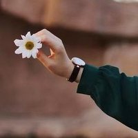 خانوم شریفی (@tobasharifii) 's Twitter Profile