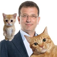 Ezgi (@ezgihbp) Twitter profile photo