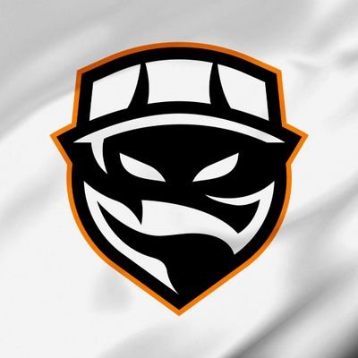 SKALLE ESPORTS Profile