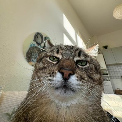 Shniider Profile