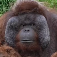 Nicolai (@ecomnicolai) 's Twitter Profile