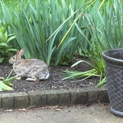 Nana5OH's profile picture. 