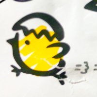 N野@日常 (@shuri12yokocho) 's Twitter Profile