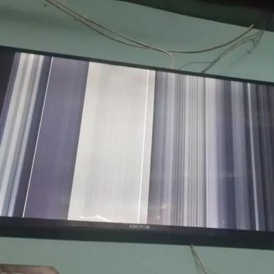 TasmiaTrading's profile picture. 