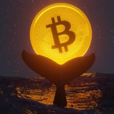 TuGDamSa's profile picture. Kripto