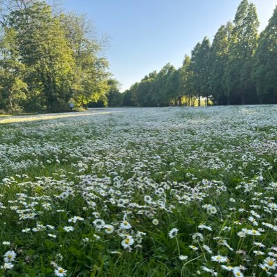 Sems3535's profile picture. Fenerbahçe💛💙. Bir zamanlar İzmir…