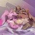 Bell The Eevee (@eevee_bell) Twitter profile photo Bell The Eevee (@eevee_bell) Twitter profile photo