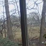 bloss76's profile picture. #MAGA #Time_Is_An_Illusion
Retired.