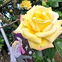 となぺん🍌 (@tonapen7) 's Twitter Profile Photo となぺん🍌 (@tonapen7) 's Twitter Profile Photo
