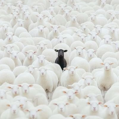 _mR_sAt_'s profile picture. | Investor | Trader | Student | ₿ |