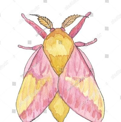 BSTX444's profile picture. Published Author. Retired Rapper. DARKWAVE Innovator. Mothman. Pinkwave Artist.