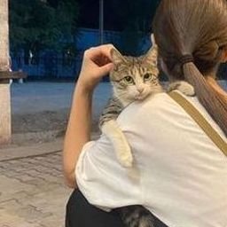 Teimen431's profile picture. 