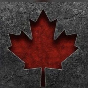 ArefPasha514's profile picture. 