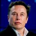 X elon (@x0641701530555) Twitter profile photo X elon (@x0641701530555) Twitter profile photo
