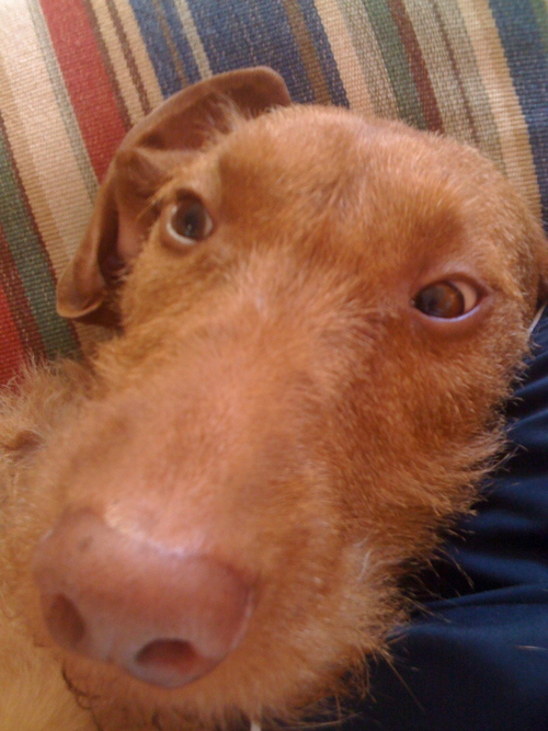 Alexsmurad's profile picture. 