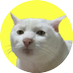 Kot Maryjny 🟡's avatar