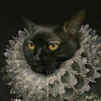 nomankshahid's profile picture. I would've been very popular in prison.