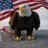 NCWARROOM's profile image