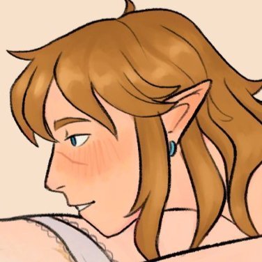 @_ghostlui and it's the same but it's nsfw so it's not. mainly botw/totk zelink. 18↑ ONLY