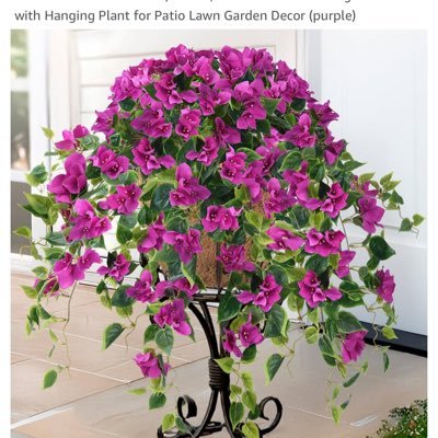 toronto_exp's profile picture. Real estate sales Representative at Exp Realty Brokerage