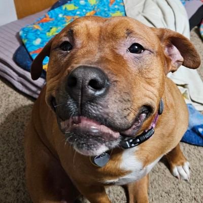 tclark419's profile picture. 