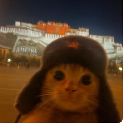 Daffodil432's profile picture. Oturmuşum kendime, takılıyorum. Sen hayırdır?