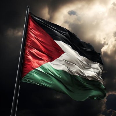 fatimabalti16's profile picture. 