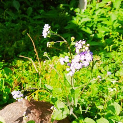 VGnanam75's profile picture. Be simple; Live simple