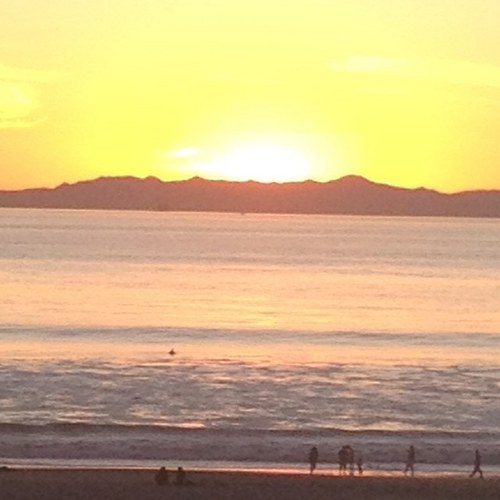 mrey4582's profile picture. 