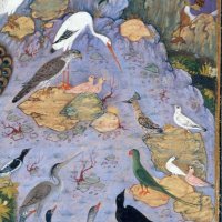 Edin Ramovic (@edinramovic4) 's Twitter Profile