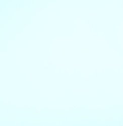 AShow24827's profile picture. 