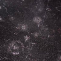 Opalina (@opalina384622) 's Twitter Profile