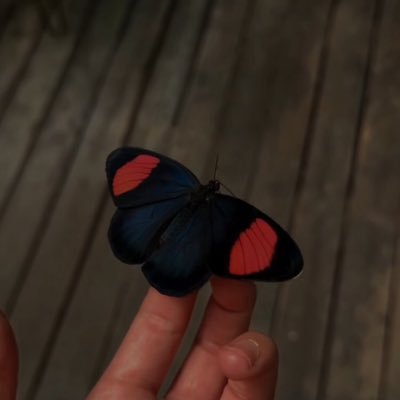 _sessizdualar_'s profile picture. Bilemezsin ki kimin duası sende neyin vesilesine sebep olur...sabret