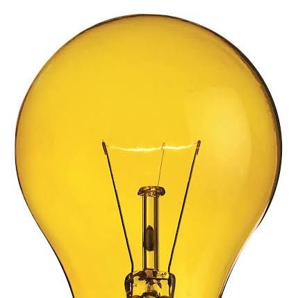 SatyaJeee's profile picture. Software Developer , LLB , Social Media Influencer , Social Activist