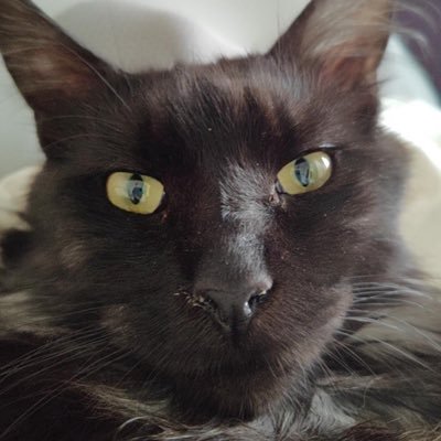 drinkmypeeeee's profile picture. The works are welcome to be kept and used