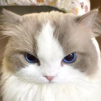 Erwin Jems | GiveRep π΅π (@canqueerwin) 's Twitter Profile