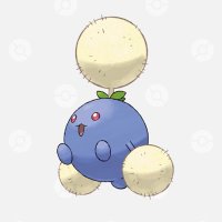 わたげ@仙台ポケカ (@watage_poke) Twitter profile photo