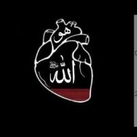 Khaak Zadaa (@khaakzadaa6770) 's Twitter Profile