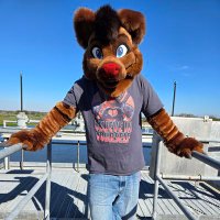 🐾Dj Wolf🐾 (@darkwolf_dj) 's Twitter Profile