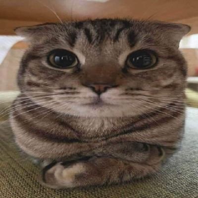 AnalyaArri64509's profile picture. 