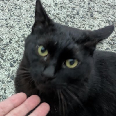 soukyokulife's profile picture. 双極性障害をもがき生き抜くマックスハード人生
双極性障害2型 / ADHD / 手帳3級 / 22歳 / 大手企業窓際族