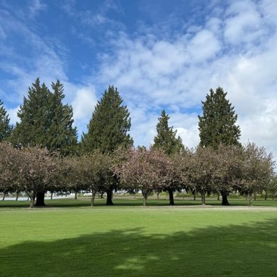 Cocainezero__'s profile picture. 