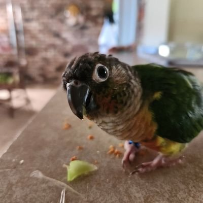 Serg1792777's profile picture. Engineer, developer, gym addict.